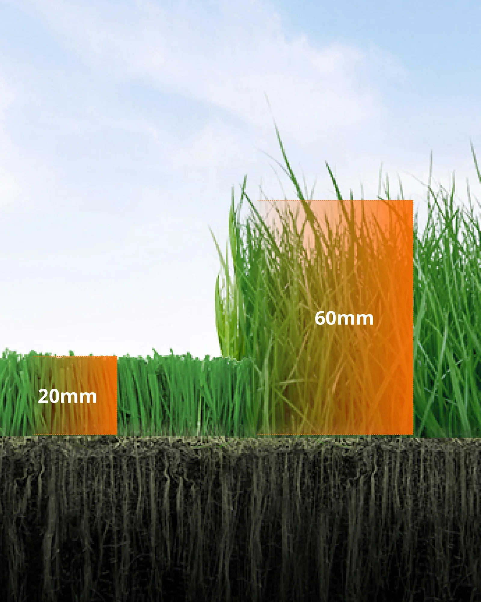 Schnitthöhe anpassen