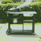 Preview: Weber Performer Premium Holzkohlegrill Ø 57 cm, 1501966