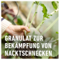 Preview: COMPO Bio Schneckenkorn 1,1 kg, 23367