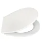Preview: WELLWATER WC-Sitz Loki, mit Absenkautomatik, Thermoplast, weiß, 956484