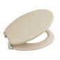 Preview: WELLWATER WC-Sitz Riku, MDF beige, Soft-Close, Take-Off, 956504