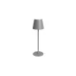 Preview: CASAYA LED-Akkuleuchte Tjörn, 3 w, 250 lm, grau, H: 36,5 cm, 997247