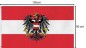Preview: WM Fanartikel Österreich Fahne 150x90cm mit Ösen, 3010300