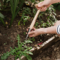 Preview: Kent & Stowe Löwenzahnzieher - aus hochwertigem Edelstahl, aus Eschenholz, Länge: 38 cm, 733087