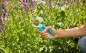 Preview: Gardena Gartenschere 8754-30