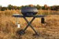 Preview: Gasgrill Napoleon TravelQ Pro285X Phantom mattschwarz PRO285X-MK-PHM 7