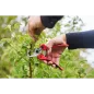 Preview: FELCO 171M Gartenschere Bypass für mittlere rechte Hände, Präziser Schnitt bis 20 mm, F171M