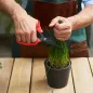 Preview: FELCO 455 Vielseitige Profi-Schere - Antihaftbeschichtete Edelstahlklingen, F455