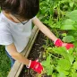 Preview: FELCO 720 KIDS Kinder Gartenhandschuhe, 8–10 Jahre, F720