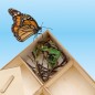 Preview: SES Creative Explore Insektenhotel, 25008