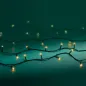 Preview: Lumineo LED Basic-Beleuchtung Outdoor, 1190 cm, 120L, green/champagne, 495887