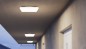 Preview: EGLO LED-Deckenleuchte Castagneto, P54 CCT 31cm 2500lm, 901534