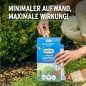 Preview: Substral Langzeit Depotdünger für Buchs & Hecken, 1,5 kg, 75080