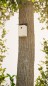 Preview: Alberts Vogelhäuschen Schrägschutzdach, DIY Montage, zum aufhängen oder hinstellen, 140 x 125 x 66 mm, Rostbraun, 355289