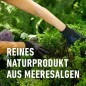 Preview: Compo Algenkalk für Buchsbäume, Pulver, zur Unterdrückung des Buchsbaumzünslers, 1 kg, 22079