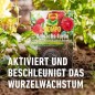 Preview: Compo Anwachs-Turbo Agrosil 50 g, 10267