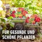 Preview: Compo Anwachs-Turbo Agrosil 50 g, 10267