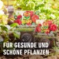 Preview: COMPO Anwachs-Turbo, Spezieller Dünger, 0,7 kg, 10704