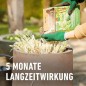 Preview: COMPO Bambus & Ziergräser Langzeit-Dünger, 5 Monate Langzeitwirkung, 850 g, 22 m², 26048