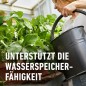 Preview: COMPO BIO Beeren Langzeit-Dünger für alle Beerenpflanzen, Kernobst und Steinobst, 5 Monate Langzeitwirkung, 2 kg, 20299