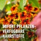 Preview: COMPO BIO Blumendünger, Dünger für alle Zimmerpflanzen und Terrassenpflanzen, 1,3 Liter, 20822