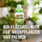 Preview: COMPO BIO Grünpflanzendünger und Palmendünger, 100% natürliche Inhaltsstoffe, 500 ml, 26829