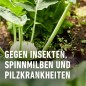 Preview: COMPO Bio Grundstoff Brennnessel 1 l Konzentrat, 28567