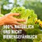 Preview: COMPO Bio Grundstoff Brennnessel 1 l Konzentrat, 28567