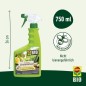 Preview: COMPO BIO Grundstoff Brennnessel, anwendungsfertig 750 ml Spray, 28568