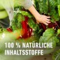 Preview: COMPO BIO Hochbeetaktivator, für eine besonders ertragreiche Ernte, 100% natürliche Inhaltsstoffe, 500 ml, 28640