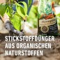 Preview: COMPO BIO Hornspäne, Hochwertiger und natürlicher Dünger mit Stickstoff, Ideal auch als Tomatendünger, 2,5 kg 2,5 kg Single 12611
