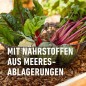 Preview: COMPO BIO Naturdünger mit Guano, für alle Gartenpflanzen, 3 kg, 12451