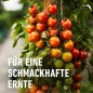 Preview: COMPO BIO Obst- und Gemüsedünger, 1 Liter, 22248