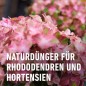Preview: COMPO BIO Rhododendron- und Hortensien Langzeitdünger, 5 Monate Langzeitwirkung, 2 kg, 20294