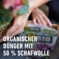 Preview: COMPO BIO Rhododendron- und Hortensien Langzeitdünger, 5 Monate Langzeitwirkung, 2 kg, 20294