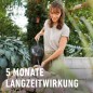 Preview: COMPO BIO Rhododendron- und Hortensien Langzeitdünger, 5 Monate Langzeitwirkung, 2 kg, 20294