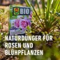 Preview: COMPO BIO Rosen Langzeit-Dünger Mit Schafwolle, 5 Monate Langzeitwirkung, 750 g, 20291
