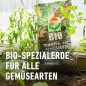 Preview: COMPO BIO Tomaten- und Gemüseerde, Für alle Gemüsekulturen, Torffrei, 20 Liter, 28228