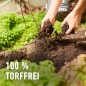 Preview: COMPO BIO Tomaten- und Gemüseerde, Für alle Gemüsekulturen, Torffrei, 20 Liter, 28228