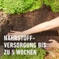 Preview: COMPO BIO Tomaten- und Gemüseerde, Für alle Gemüsekulturen, Torffrei, 20 Liter, 28228