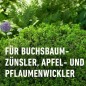 Preview: COMPO BIO Universal-Trichterfalle für Buchsbaumzünsler, Apfel- und Pflaumenwickler, ohne Lockstoff, 22591