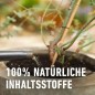 Preview: COMPO BIO Zitruspflanzendünger für alle Zitruspflanzen-Arten, 500 ml, 22245