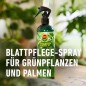 Preview: COMPO Blattpflege für Grünpflanzen, Blatt-Dünger für alle Grünpflanzen und Palmen, 500 ml 22263