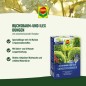 Preview: COMPO Buchsbaum- und Ilex Langzeit-Dünger, 6 Monate Langzeitwirkung, 850 g, 17 m², 23852