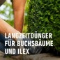 Preview: COMPO Buchsbaum- und Ilex Langzeit-Dünger, 6 Monate Langzeitwirkung, 850 g, 17 m², 23852