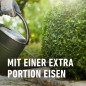 Preview: COMPO Buchsbaum- und Ilex Langzeit-Dünger, 6 Monate Langzeitwirkung, 850 g, 17 m², 26044