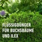 Preview: COMPO Buchsbaum- und Ilexdünger, Dünger für alle Buchsbäume, Spezial-Flüssigdünger mit extra Eisen, 1 Liter, 22558