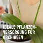 Preview: COMPO Düngestäbchen für Orchideen, mit 3 Monaten Langzeitwirkung, 20 Stück, 11978