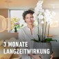 Preview: COMPO Düngestäbchen für Orchideen, mit 3 Monaten Langzeitwirkung, 20 Stück, 11978
