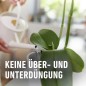 Preview: COMPO Düngestäbchen für Orchideen, mit 3 Monaten Langzeitwirkung, 20 Stück, 11978